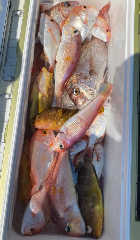 あみや渡船 JIGBOY 釣果