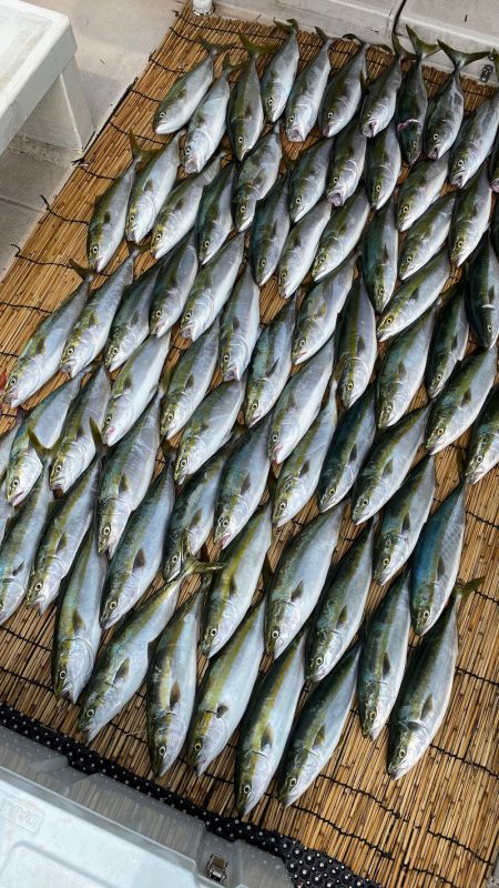 釣人家 釣果