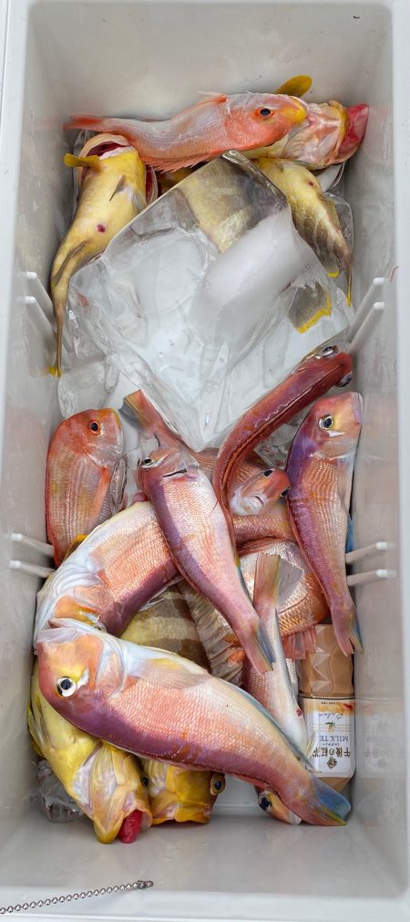 あみや渡船 JIGBOY 釣果