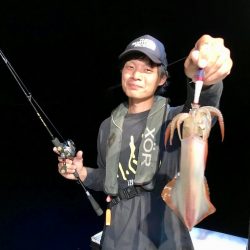 South Current 釣果