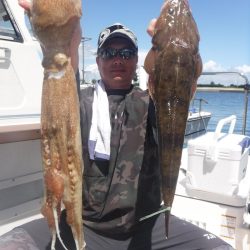 ＪＤＩ　Ｒａｃｉｎｇ　シールズマリンレジャー 釣果