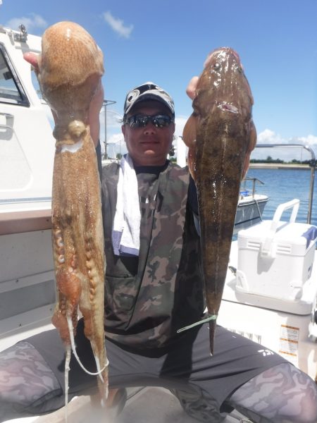 ＪＤＩ　Ｒａｃｉｎｇ　シールズマリンレジャー 釣果