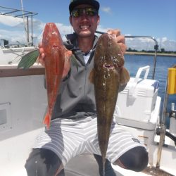 ＪＤＩ　Ｒａｃｉｎｇ　シールズマリンレジャー 釣果