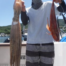 JDI Racing シールズマリンレジャー 釣果