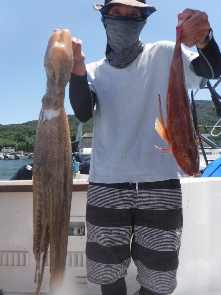 JDI Racing シールズマリンレジャー 釣果