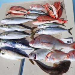 水天丸 釣果