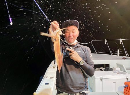 South Current 釣果