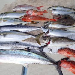 水天丸 釣果