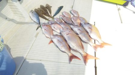 マリンガイド福丸 釣果