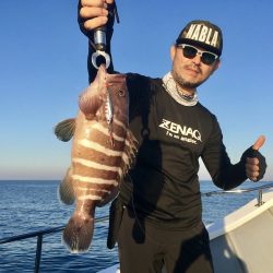 South Current 釣果