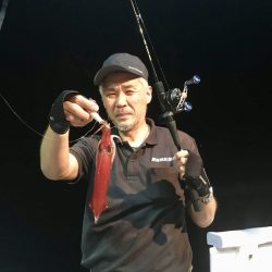 South Current 釣果