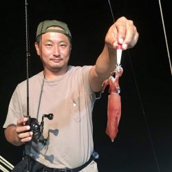 South Current 釣果