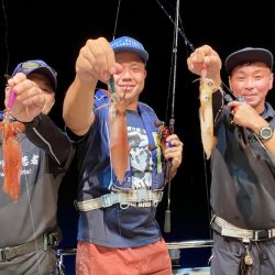 South Current 釣果