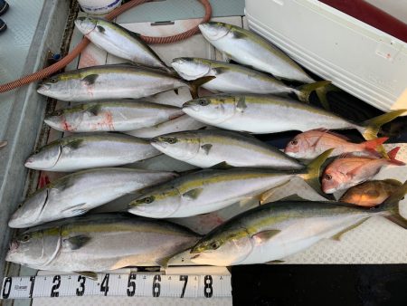 オーシャンスター(Ocean Star) …