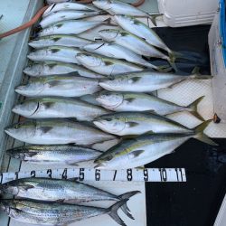 オーシャンスター(Ocean Star) 釣果