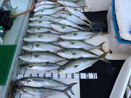 オーシャンスター(Ocean Star) …