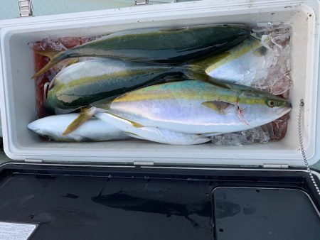 オーシャンスター(Ocean Star) 釣果