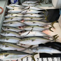 オーシャンスター(Ocean Star) 釣果