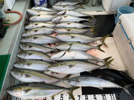 オーシャンスター(Ocean Star) …