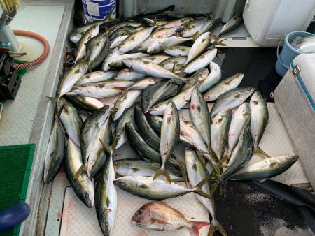 オーシャンスター(Ocean Star) 釣果