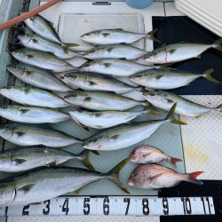 オーシャンスター(Ocean Star) 釣果