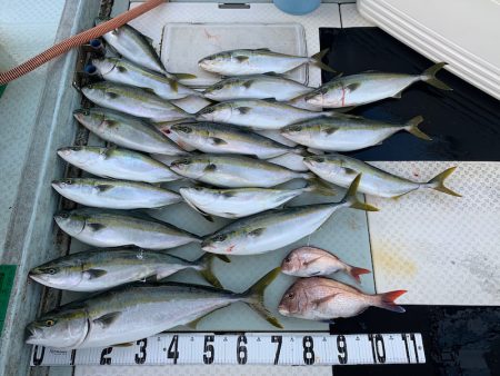 オーシャンスター(Ocean Star) …