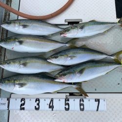 オーシャンスター(Ocean Star) 釣果