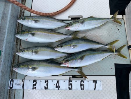 オーシャンスター(Ocean Star) …