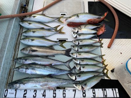 オーシャンスター(Ocean Star) …