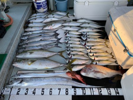 オーシャンスター(Ocean Star) …