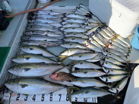 オーシャンスター(Ocean Star) …