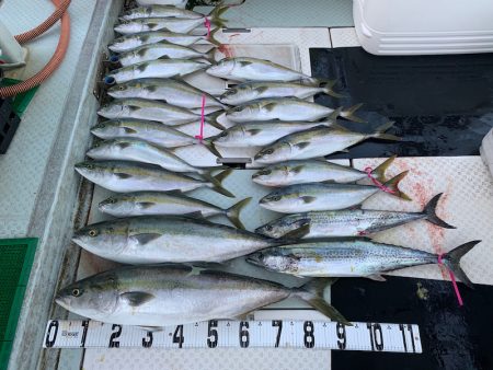 オーシャンスター(Ocean Star) …