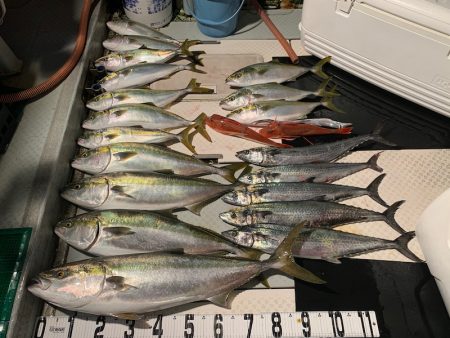 オーシャンスター(Ocean Star) …