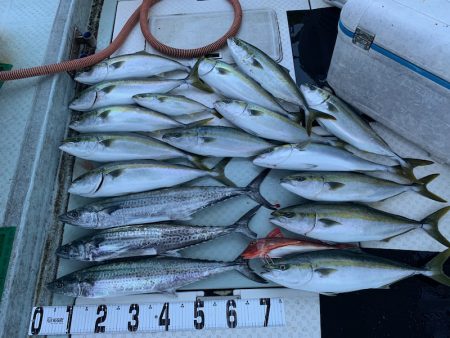 オーシャンスター(Ocean Star) …