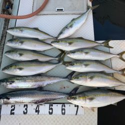 オーシャンスター(Ocean Star) 釣果