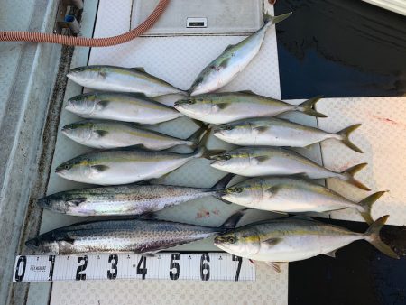 オーシャンスター(Ocean Star) …