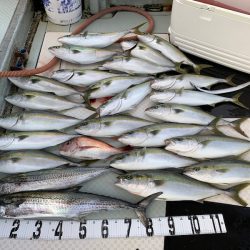 オーシャンスター(Ocean Star) 釣果