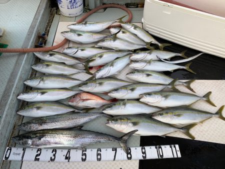 オーシャンスター(Ocean Star) …