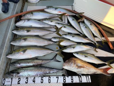 オーシャンスター(Ocean Star) …