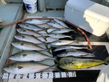 オーシャンスター(Ocean Star) …