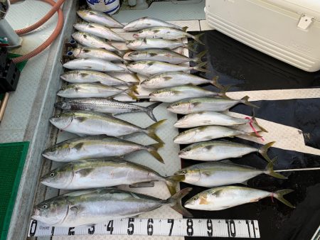 オーシャンスター(Ocean Star) …