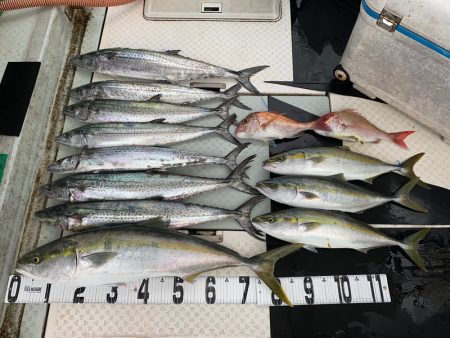 オーシャンスター(Ocean Star) …