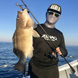 South Current 釣果