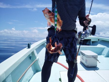 ひな丸 釣果