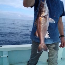 ひな丸 釣果