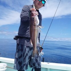 ひな丸 釣果