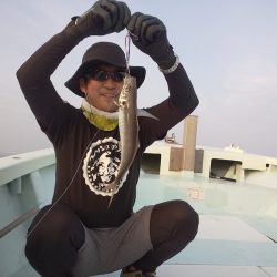 ひな丸 釣果