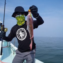 ひな丸 釣果