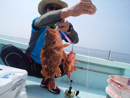 ひな丸 釣果