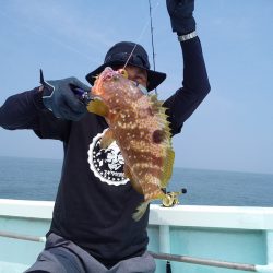 ひな丸 釣果